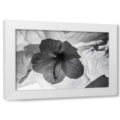 Hibiscus Flower and Tissue Paper with Light White Modern Wood Framed Art Print by Beraldo, Zandina Muench