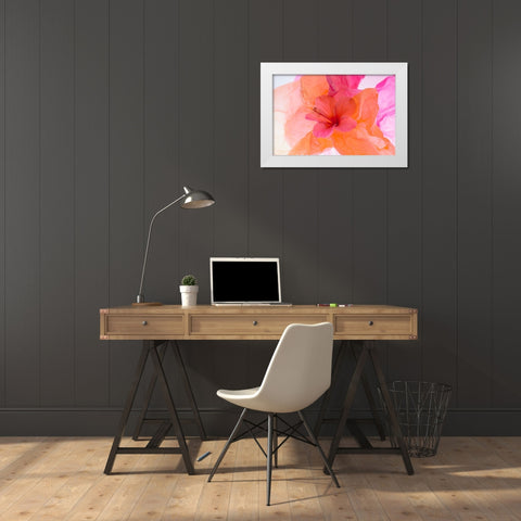 Hibiscus Flower and Tissue Paper with Light White Modern Wood Framed Art Print by Beraldo, Zandina Muench