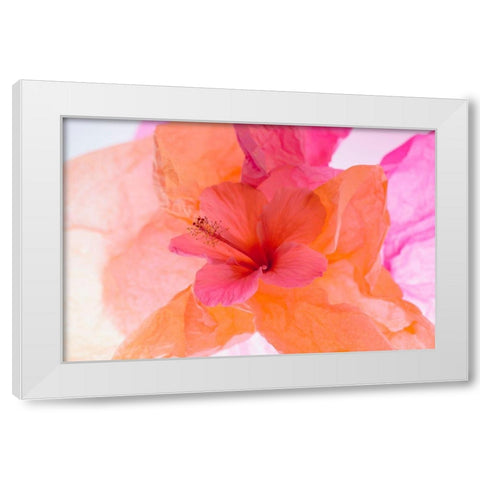 Hibiscus Flower and Tissue Paper with Light White Modern Wood Framed Art Print by Beraldo, Zandina Muench