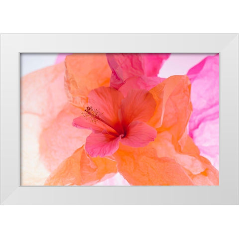 Hibiscus Flower and Tissue Paper with Light White Modern Wood Framed Art Print by Beraldo, Zandina Muench