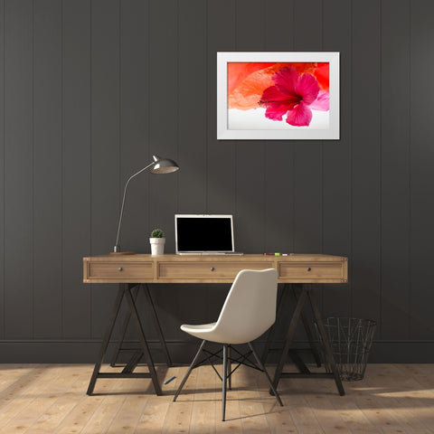 Hibiscus Flower and Tissue Paper with Light White Modern Wood Framed Art Print by Beraldo, Zandina Muench