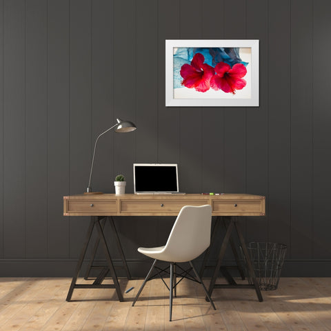 Hibiscus Flower and Tissue Paper with Light White Modern Wood Framed Art Print by Beraldo, Zandina Muench
