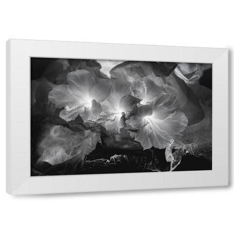Hibiscus Flower and Tissue Paper with Light White Modern Wood Framed Art Print by Beraldo, Zandina Muench