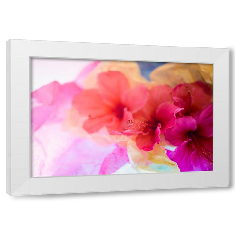 Hibiscus Flower and Tissue Paper with Light White Modern Wood Framed Art Print by Beraldo, Zandina Muench