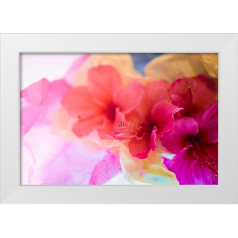Hibiscus Flower and Tissue Paper with Light White Modern Wood Framed Art Print by Beraldo, Zandina Muench
