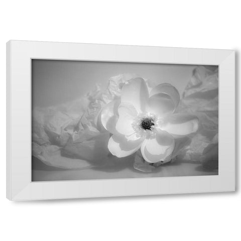 Black and white flower White Modern Wood Framed Art Print by Beraldo, Zandina Muench
