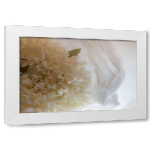 Close-up of flower White Modern Wood Framed Art Print by Beraldo, Zandina Muench