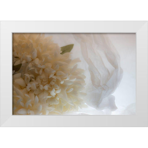 Close-up of flower White Modern Wood Framed Art Print by Beraldo, Zandina Muench