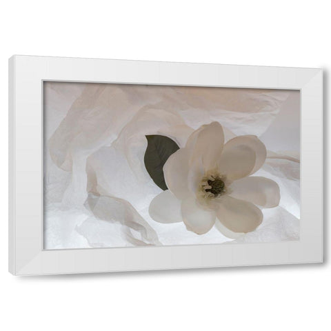 Close-up of flower White Modern Wood Framed Art Print by Beraldo, Zandina Muench
