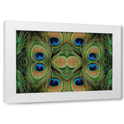 Peacock feathers White Modern Wood Framed Art Print by Jones, Adam