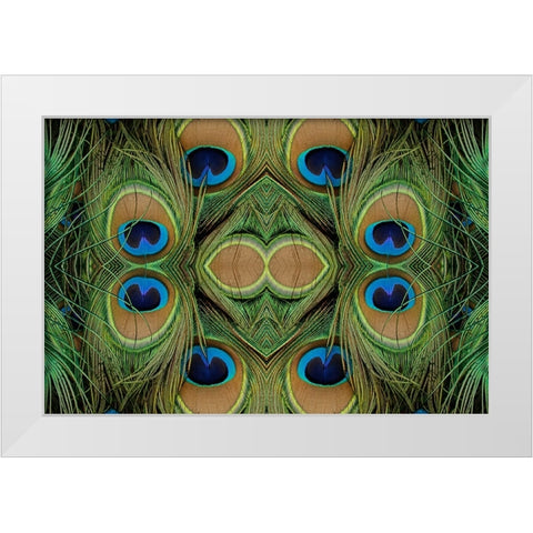 Peacock feathers White Modern Wood Framed Art Print by Jones, Adam