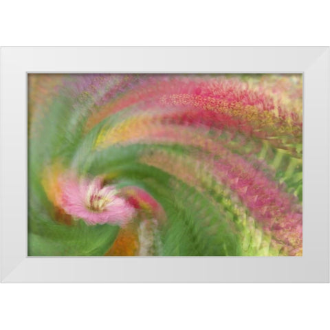 Abstract swirl of pink flower White Modern Wood Framed Art Print by Anon, Ellen