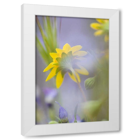 Close-up of wildflowers White Modern Wood Framed Art Print by Anon, Ellen