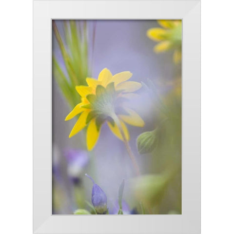 Close-up of wildflowers White Modern Wood Framed Art Print by Anon, Ellen