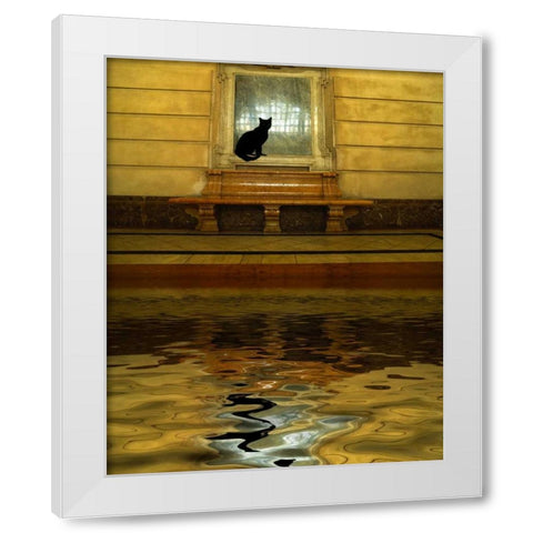 Concept of black cat and water White Modern Wood Framed Art Print by Zuckerman, Jim