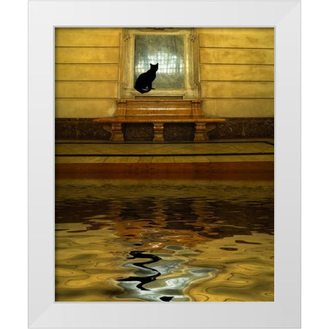 Concept of black cat and water White Modern Wood Framed Art Print by Zuckerman, Jim