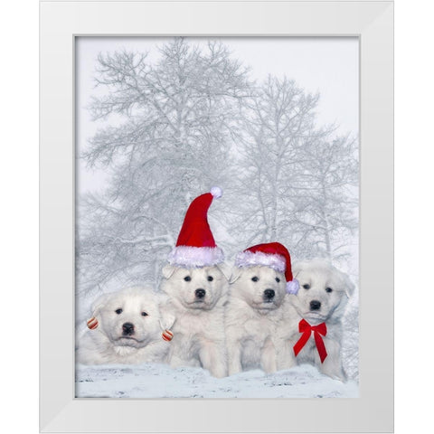 Great Pyrenees puppies with Christmas decorations White Modern Wood Framed Art Print by Jaynes Gallery