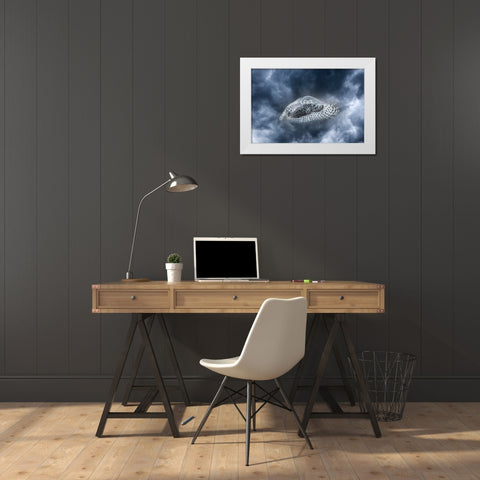 Canada-Composite of female snowy owl in flight White Modern Wood Framed Art Print by Jaynes Gallery