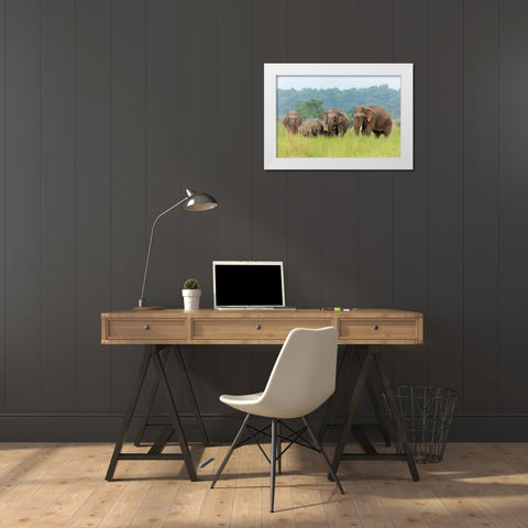 Asian Elephant family-Corbett National Park-India White Modern Wood Framed Art Print by Rajput, Jagdeep