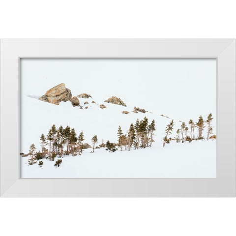 Alpine winter landscape White Modern Wood Framed Art Print by Archer, Ken
