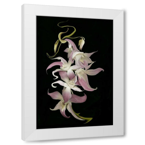 Abstract orchid artwork, digitally manipulated White Modern Wood Framed Art Print by Anon, Ellen