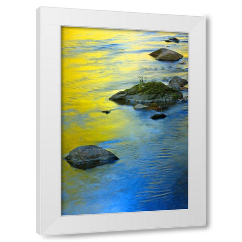 Colors Reflected in Water White Modern Wood Framed Art Print by Miller, Anna