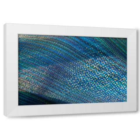 Colorful fabric detail White Modern Wood Framed Art Print by Muench, Zandria