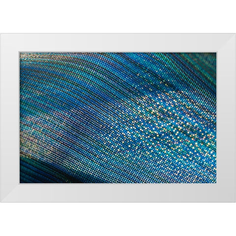 Colorful fabric detail White Modern Wood Framed Art Print by Muench, Zandria