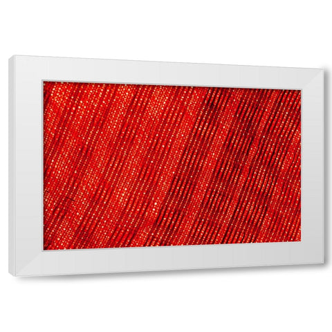 Colorful fabric detail White Modern Wood Framed Art Print by Muench, Zandria