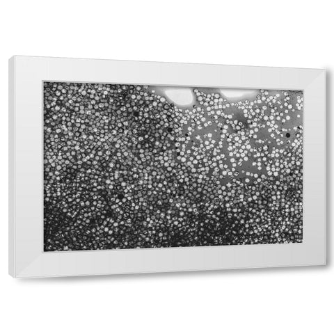 Beet juice and salt crystals White Modern Wood Framed Art Print by Muench, Zandria