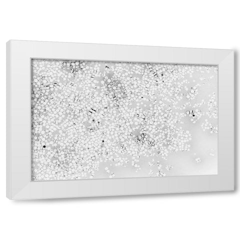 Beet juice and salt crystals White Modern Wood Framed Art Print by Muench, Zandria