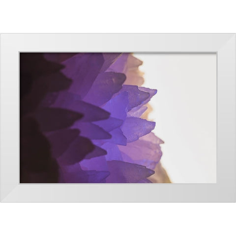 Rose Quartz White Modern Wood Framed Art Print by Muench, Zandria