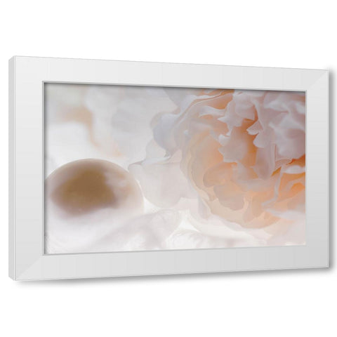 Flowers and light White Modern Wood Framed Art Print by Muench, Zandria