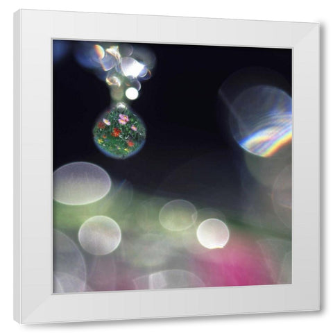 Dew on flowers with flower field in one drop White Modern Wood Framed Art Print by Satushek, Steve