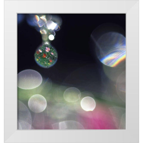 Dew on flowers with flower field in one drop White Modern Wood Framed Art Print by Satushek, Steve
