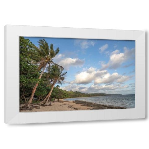 Fiji-Viti Levu Beach with palm trees and white clouds White Modern Wood Framed Art Print by Merrill Images
