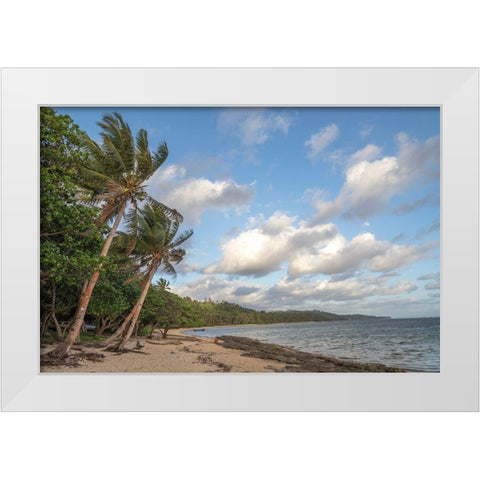 Fiji-Viti Levu Beach with palm trees and white clouds White Modern Wood Framed Art Print by Merrill Images