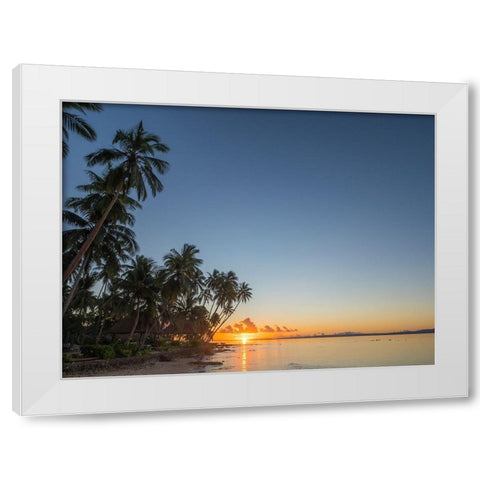 Fiji-Vanua Levu Beach sunset with palm trees White Modern Wood Framed Art Print by Merrill Images