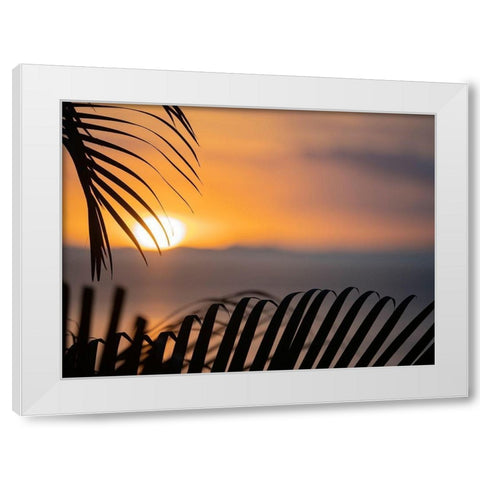Fiji-Vanua Levu Palm fronds silhouetted in sunset over the ocean White Modern Wood Framed Art Print by Merrill Images