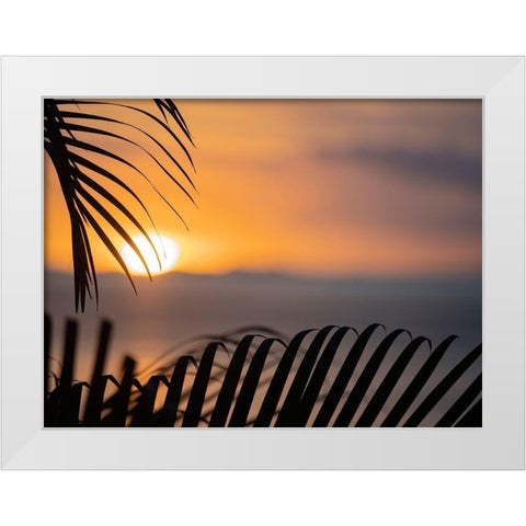 Fiji-Vanua Levu Palm fronds silhouetted in sunset over the ocean White Modern Wood Framed Art Print by Merrill Images