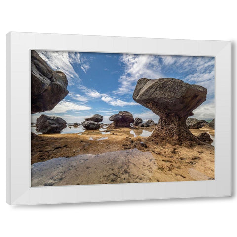 Fiji-Taveuni Island Rock formations on the beach of Lavena showing erosion White Modern Wood Framed Art Print by Merrill Images