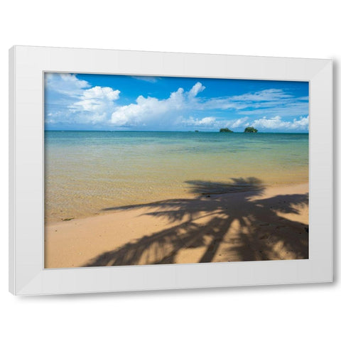 Fiji-Taveuni Island Silhouette of a palm tree on sandy beach with blue sky White Modern Wood Framed Art Print by Merrill Images