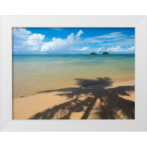 Fiji-Taveuni Island Silhouette of a palm tree on sandy beach with blue sky White Modern Wood Framed Art Print by Merrill Images