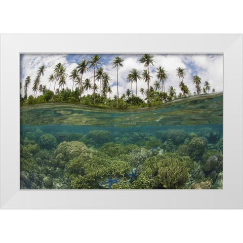 Solomon Islands Reef and island palm trees White Modern Wood Framed Art Print by Shimlock, Jones