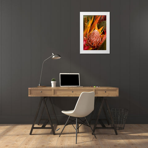 French Polynesia Tropical native flowers White Modern Wood Framed Art Print by Kaveney, Wendy