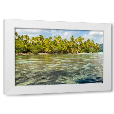 French Polynesia- Tahaa. Ocean corals and tropical forest. White Modern Wood Framed Art Print by Jaynes Gallery