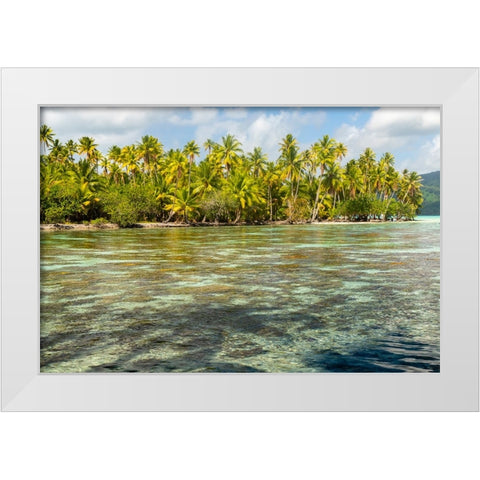 French Polynesia- Tahaa. Ocean corals and tropical forest. White Modern Wood Framed Art Print by Jaynes Gallery