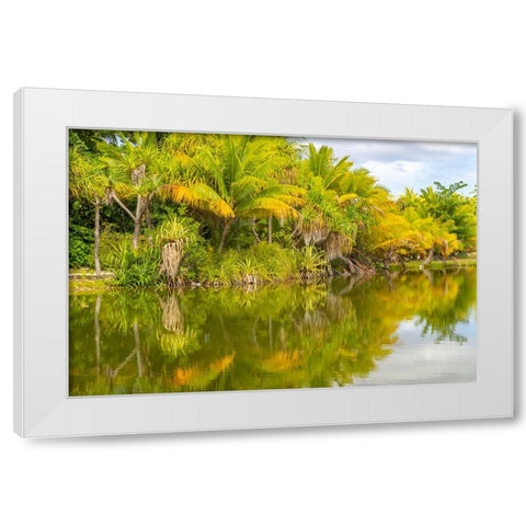 French Polynesia- Tahaa. Tropical lagoon and jungle. White Modern Wood Framed Art Print by Jaynes Gallery
