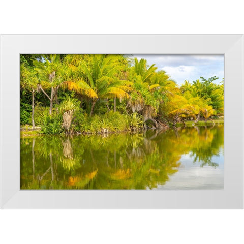 French Polynesia- Tahaa. Tropical lagoon and jungle. White Modern Wood Framed Art Print by Jaynes Gallery