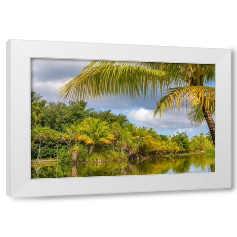French Polynesia- Tahaa. Tropical lagoon and jungle. White Modern Wood Framed Art Print by Jaynes Gallery
